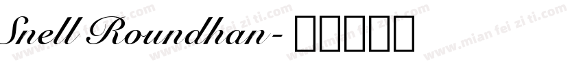 Snell Roundhan字体转换